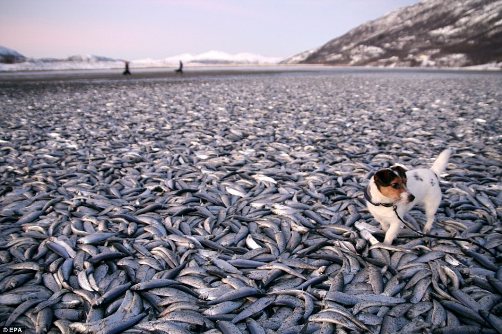 jxy_20120103_nw.jpg