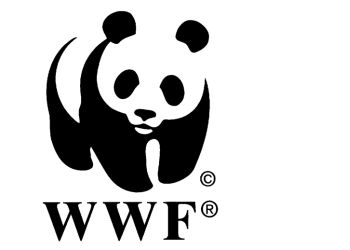 Logo%20WWF.jpg