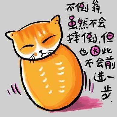 请输入描述