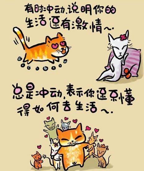 请输入描述