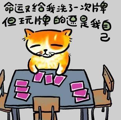 请输入描述