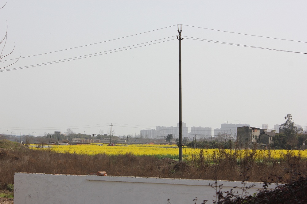 江安校外