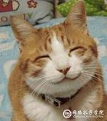 请输入描述