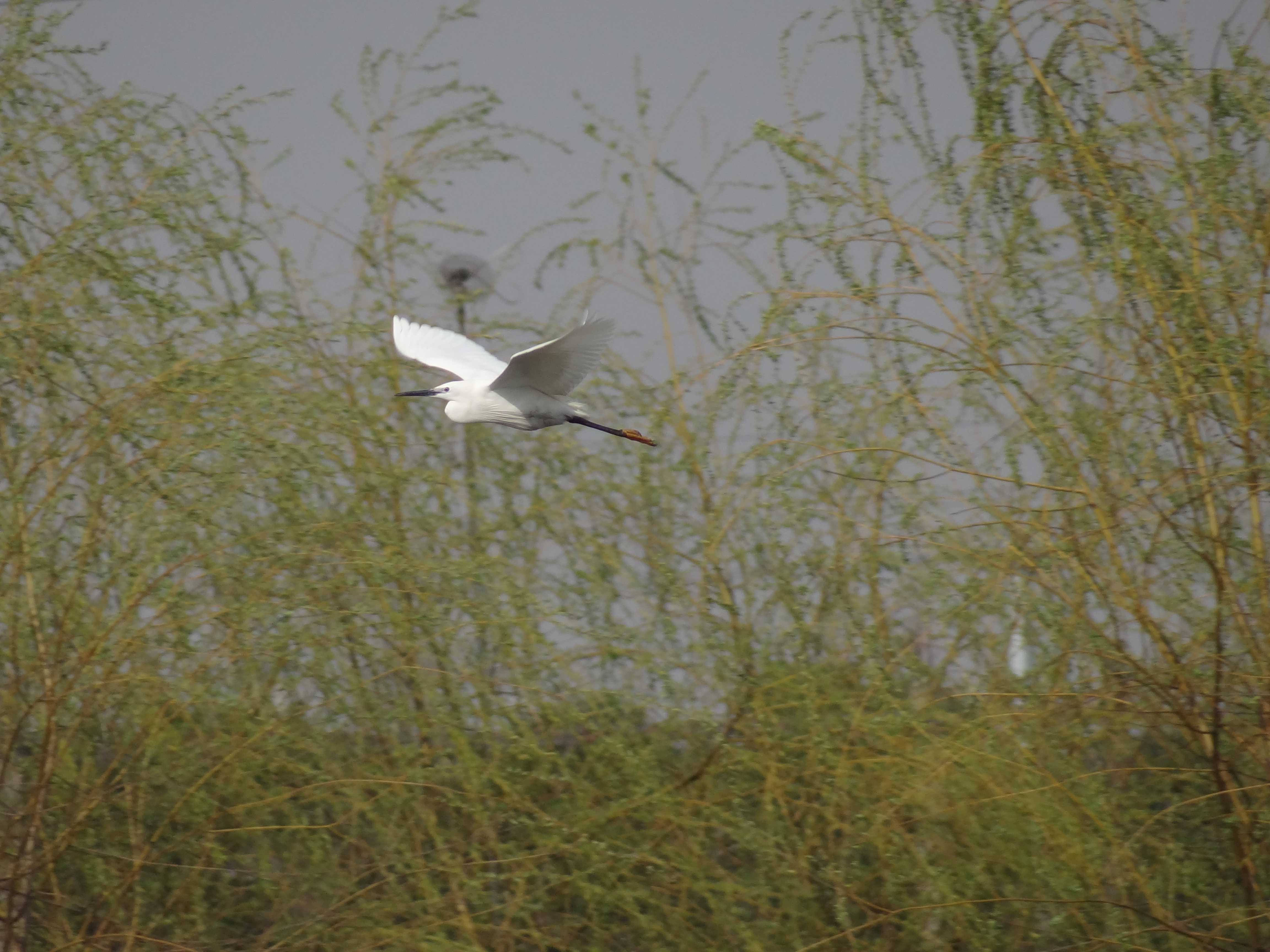 DSC06012.JPG