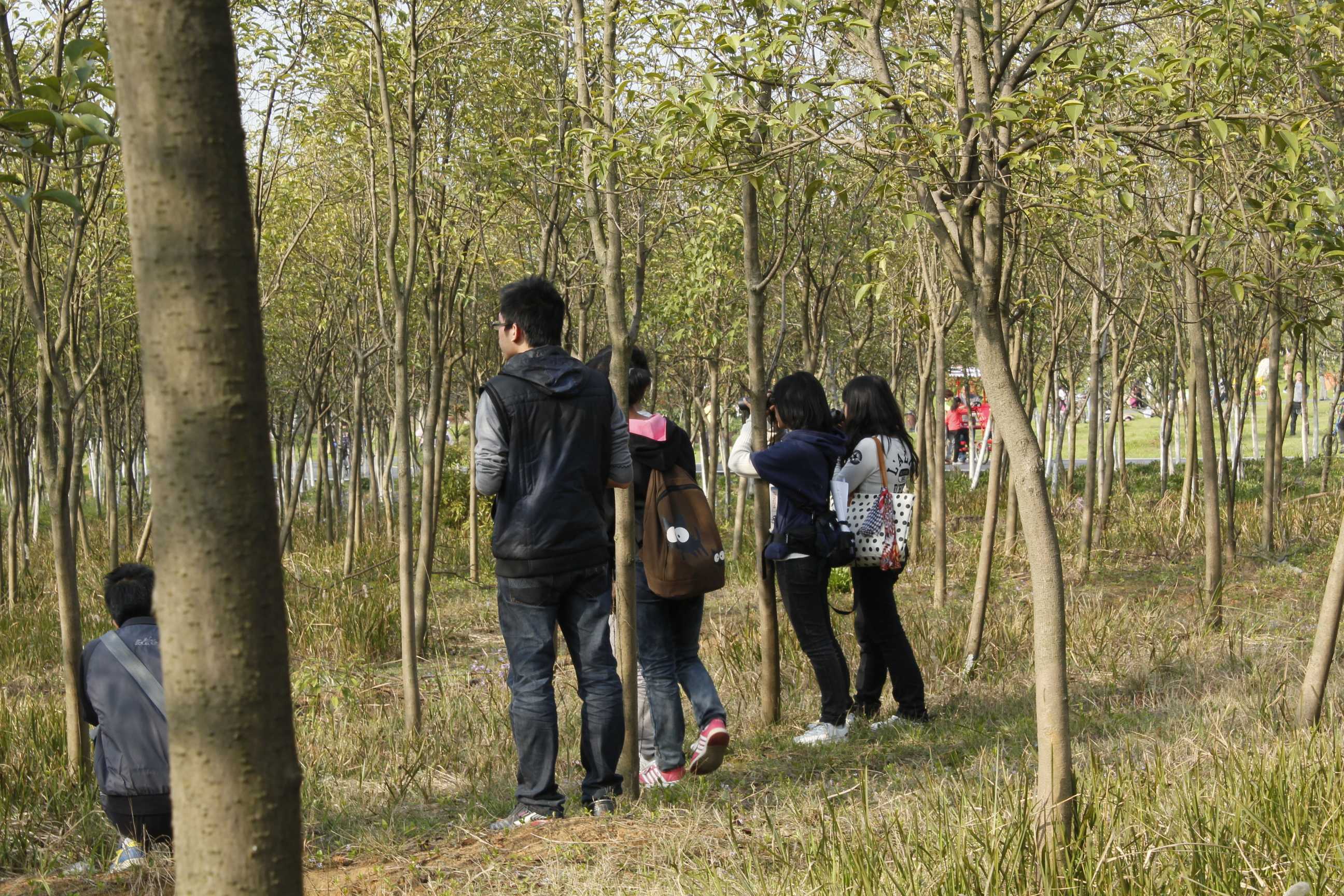 就是那就是那.JPG