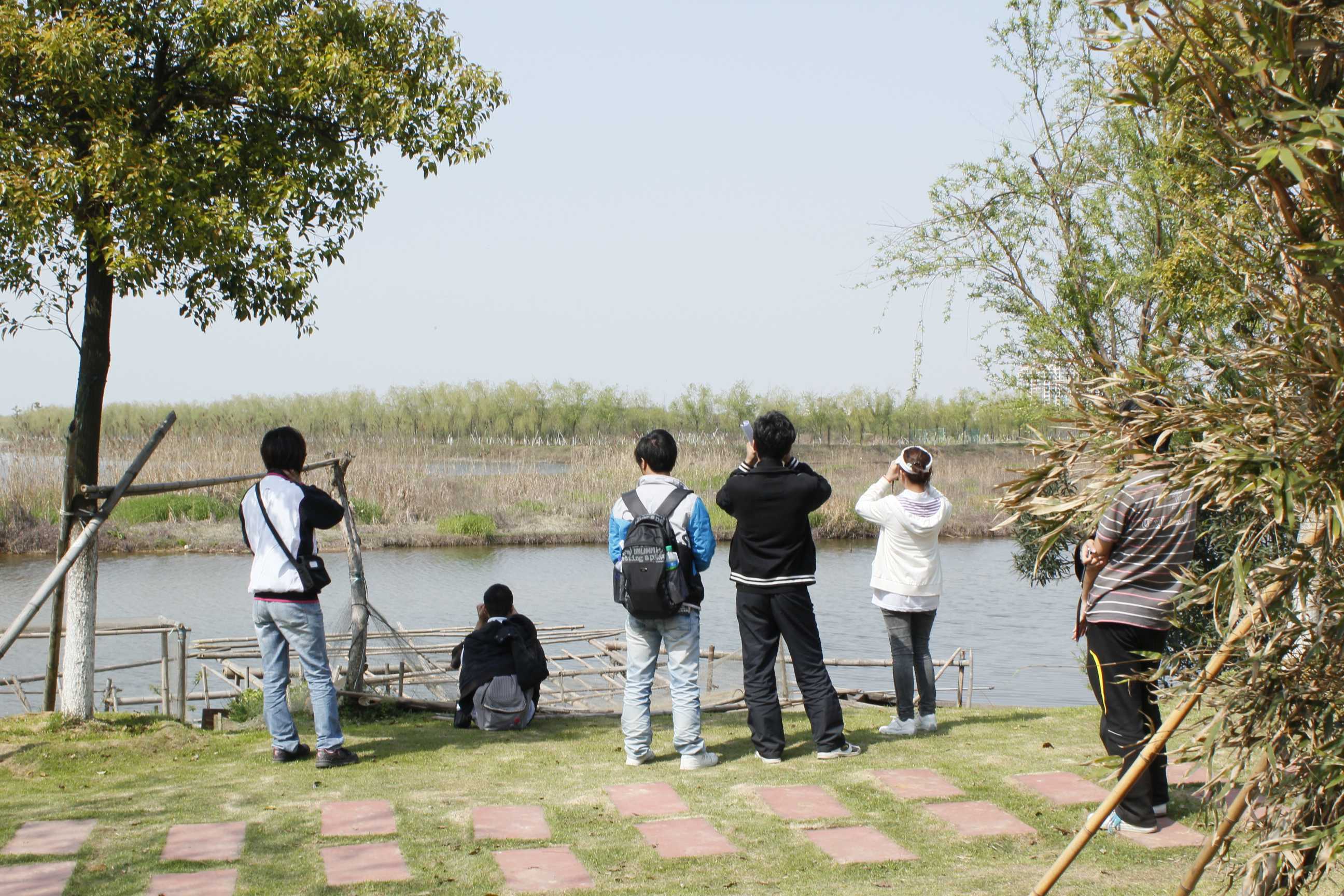 _MG_6534.JPG
