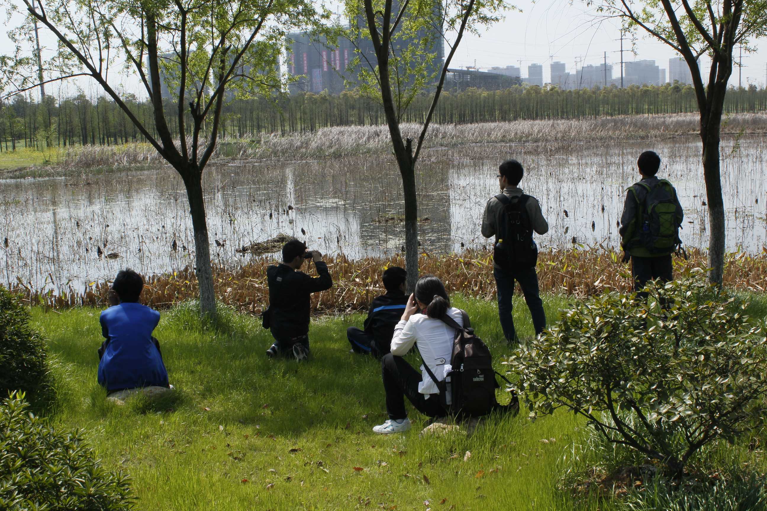 湿地边.JPG