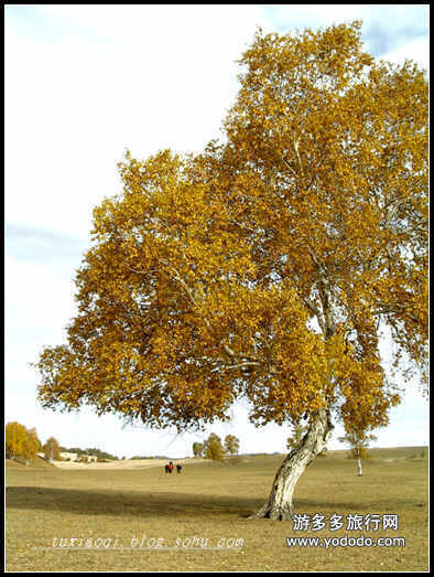 7812E8977182.jpg