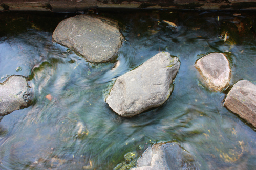 7F02C6998541.jpg