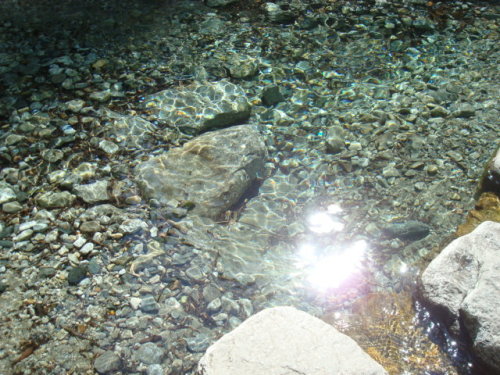 7D62EC3E268A.jpg