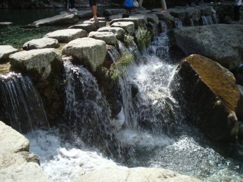 7CC559193020.jpg