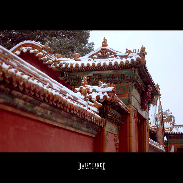 7D53CEC26C90.jpg