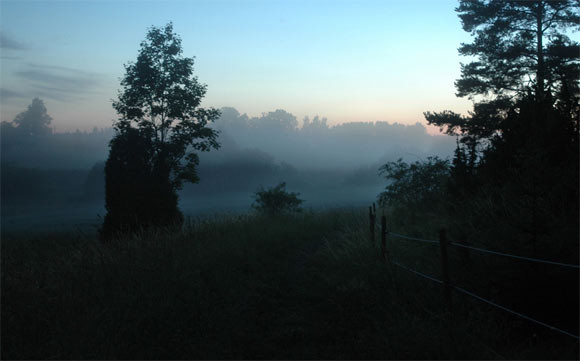 7383C5B2E918.jpg