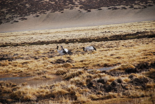 7EFA020F80E4.jpg