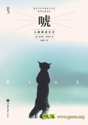 唬_小黑猫成长记