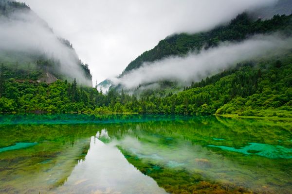 colored-lake-china-fund-mandarin_50051_600x450.jpg