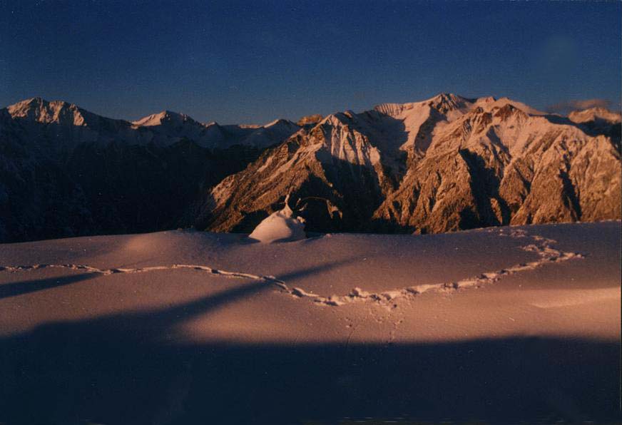 白马雪山之冬.jpg