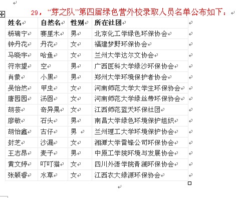 第四届芽支队.jpg