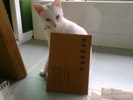 请输入描述