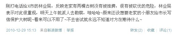古树保护2.jpg