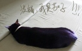 20110312092821406_2340.jpg