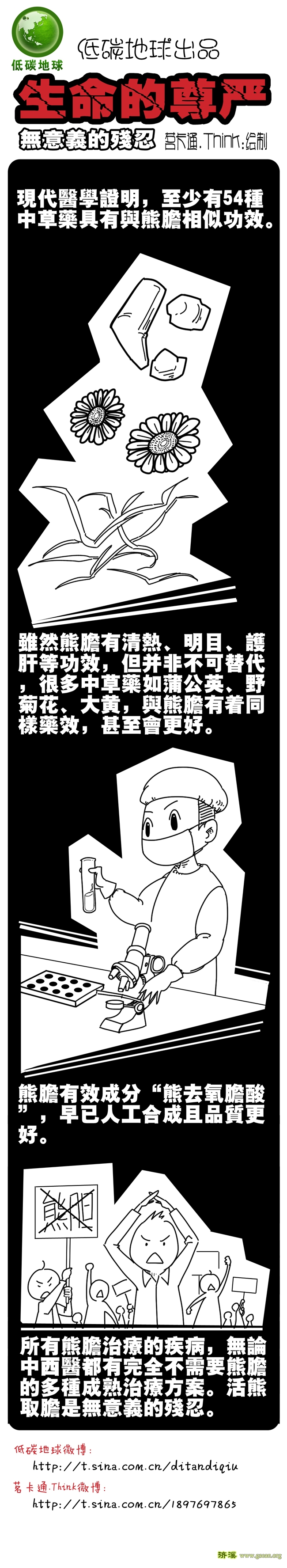 无意义的残忍.jpg