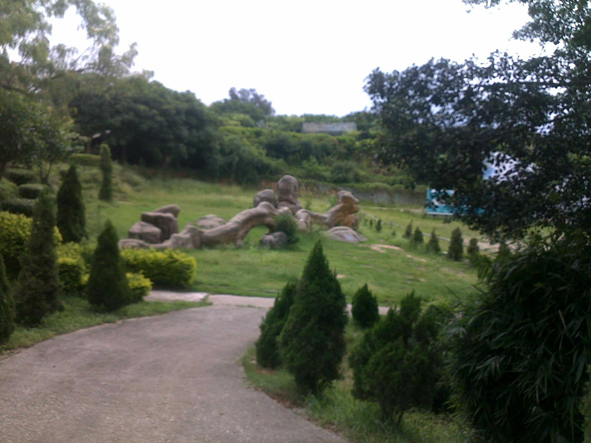 20120630437.jpg