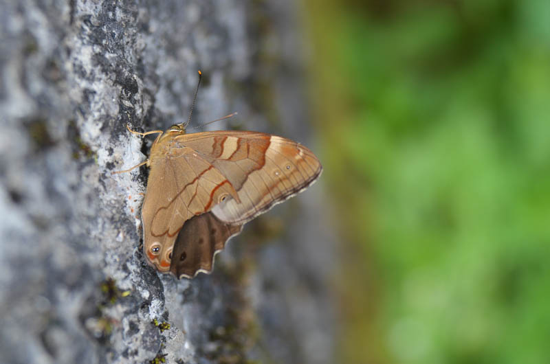 D7K_1152.jpg