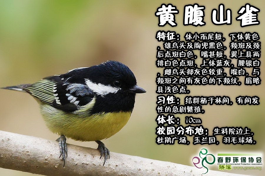请输入描述