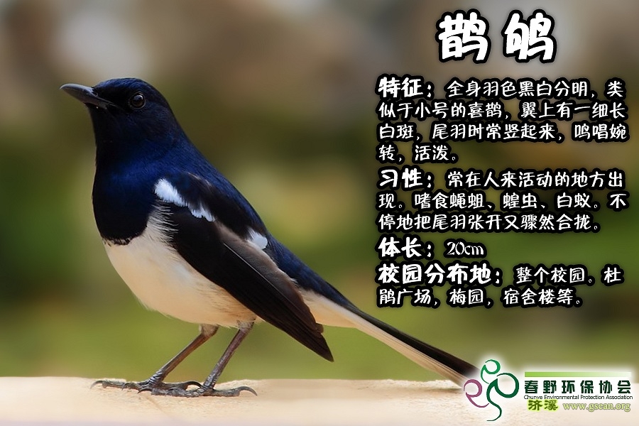 请输入描述