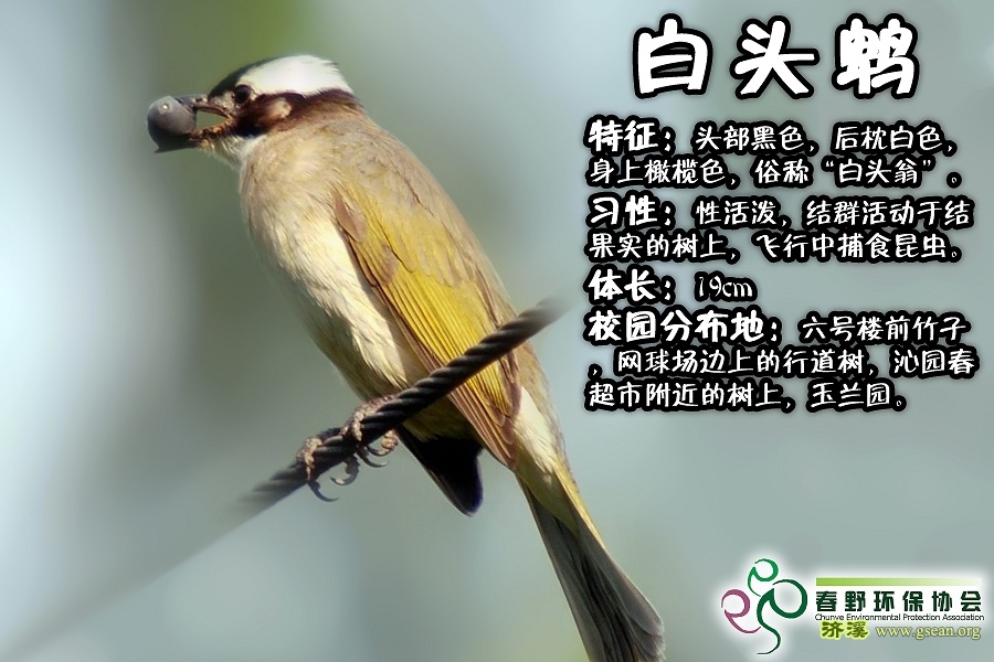 请输入描述