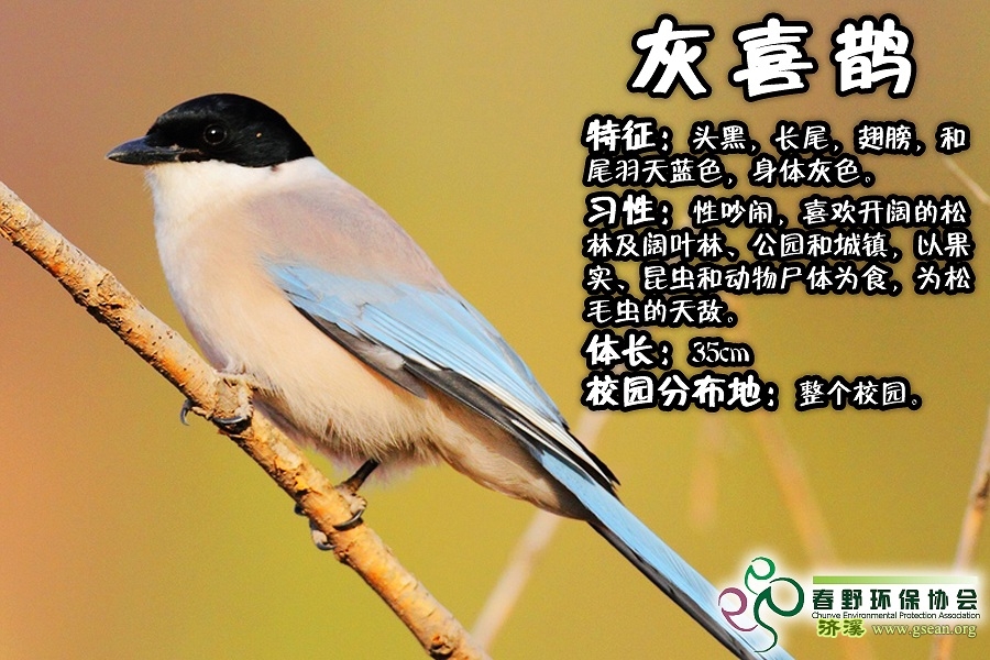 请输入描述