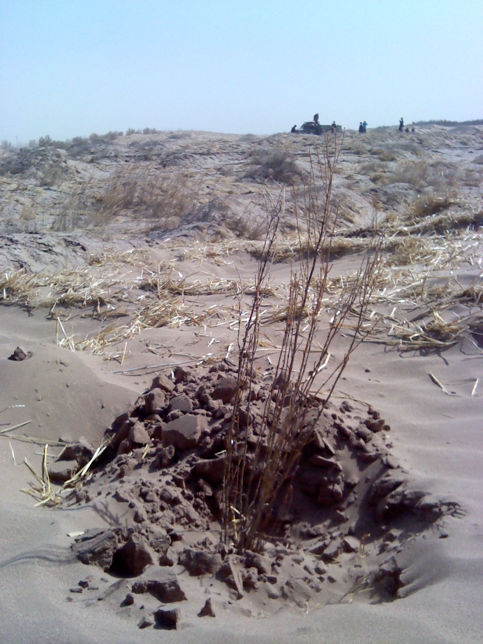 IMG_20130317_111212_0.jpg
