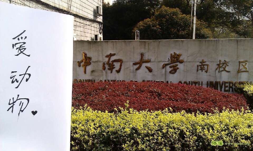 中南大学