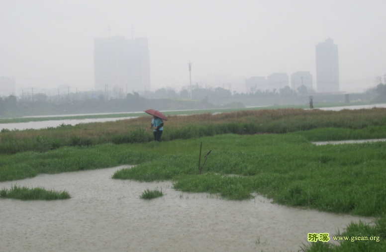 碟子湖