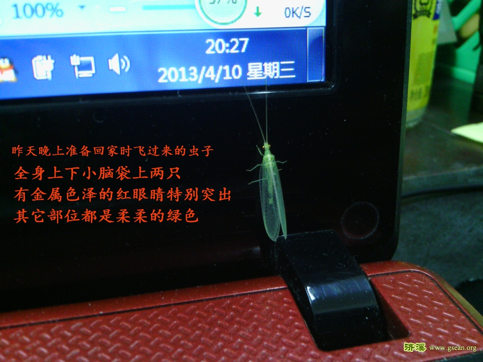 IMG_20130410_202708.jpg