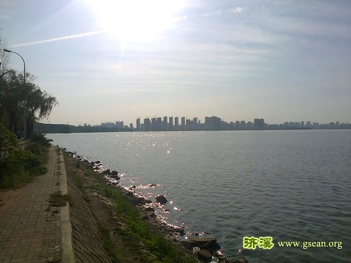 照片1338.jpg