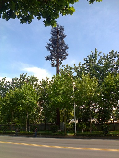 照片1329.jpg