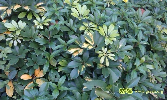 未命名54.jpg