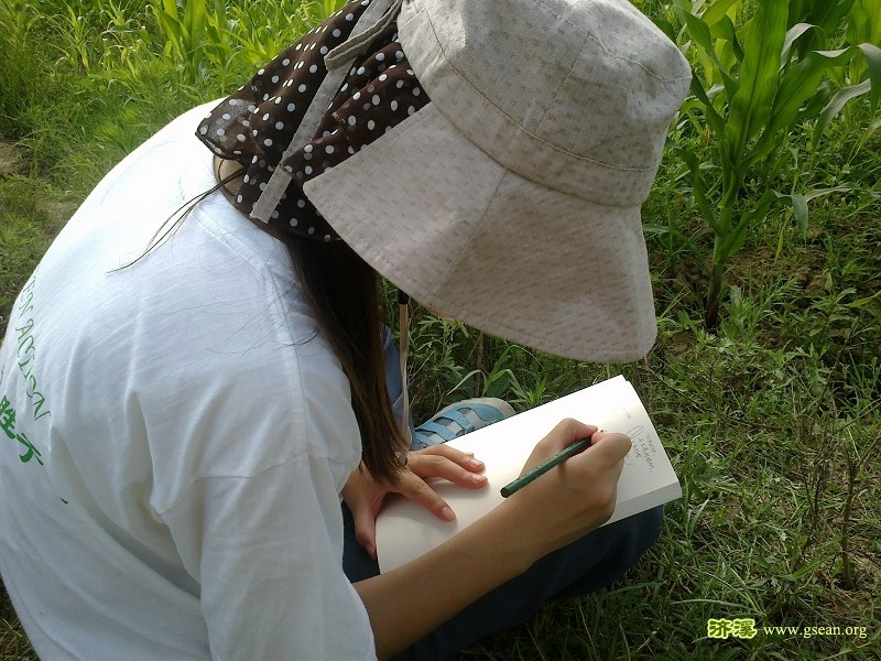 八条鱼.jpg