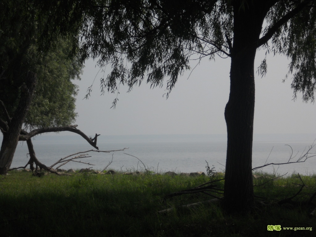 DSCN8986.JPG
