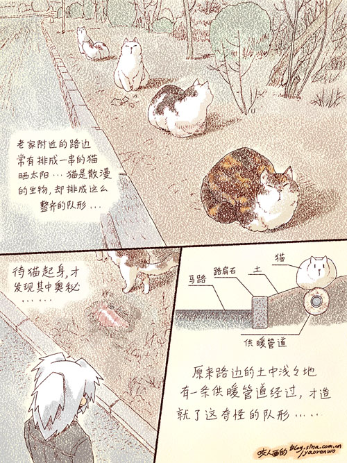 001oKLZxty6GjB2ECtWd8&amp;690.jpg