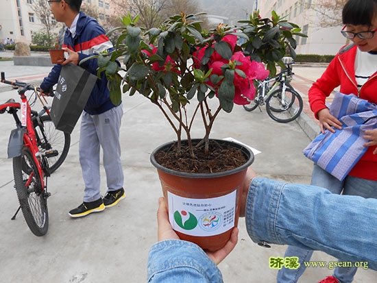 DSCN0506.jpg