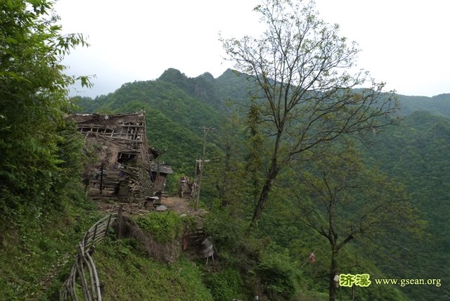 山顶住着一位老爷爷和几只狗，房子破烂不堪