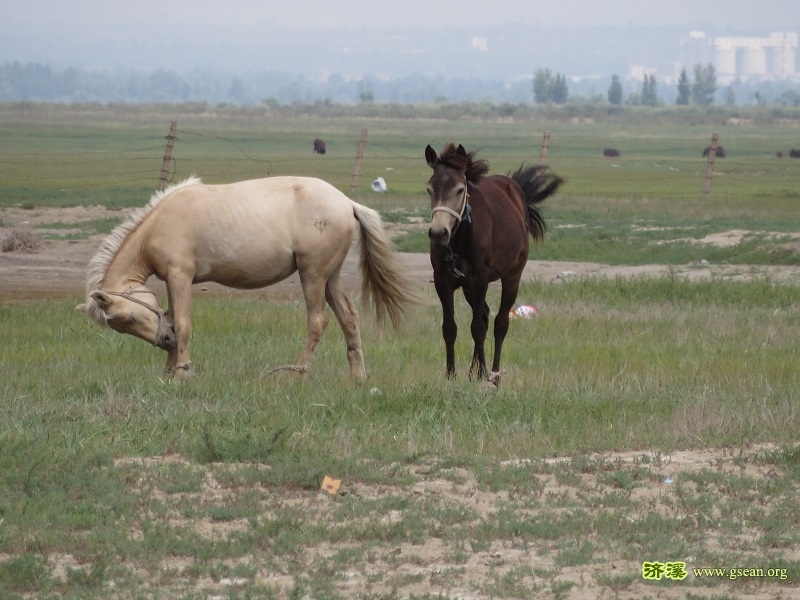 IMG_8977.JPG