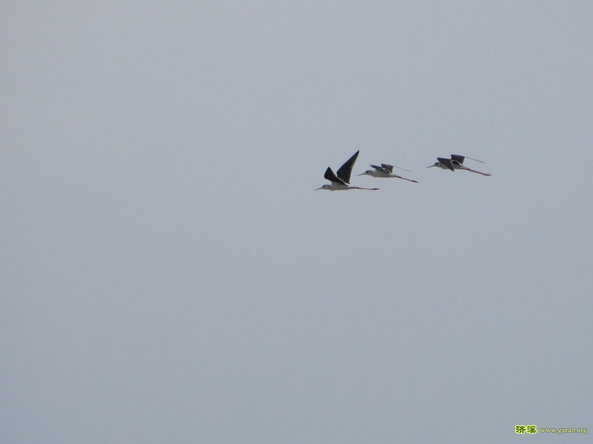 IMG_9058.JPG