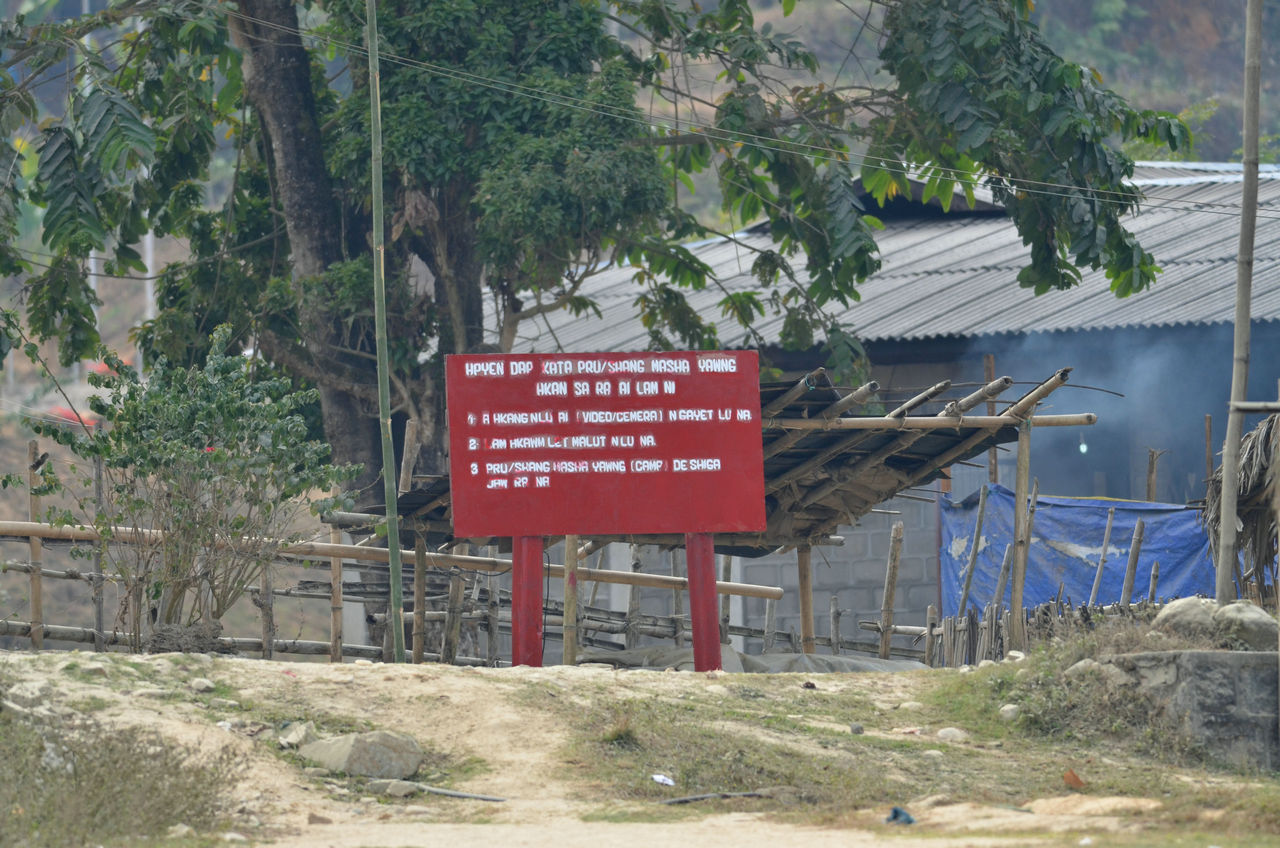 TAO_5767.JPG