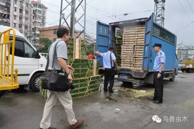 执法现场 截获打算驶离现场的运鸟货车.jpg