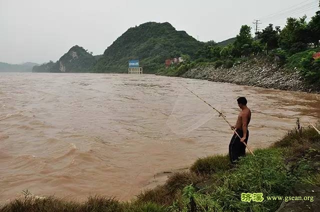 从庙嘴到艾家水域，也是中华鲟保护区.jpg