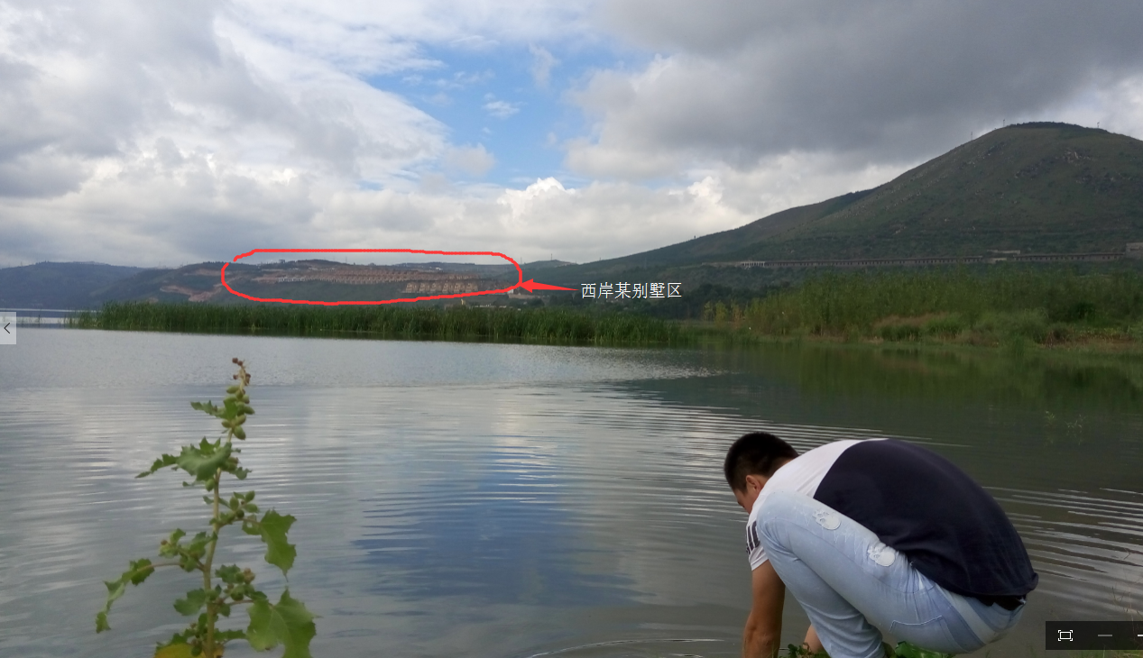 北岸，水草还是很茂盛的，沿途也见到不少水鸟，湖边小水塘里也有很多青蛙蟾之类的